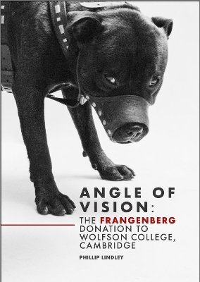 Book cover for Angle of Vision