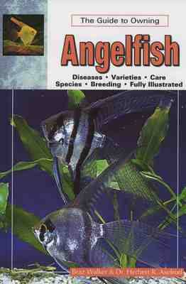 Book cover for The Guide to Owning Angelfish