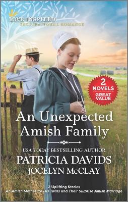 Book cover for An Unexpected Amish Family