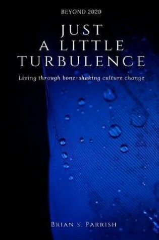 Cover of Just a Little Turbulence