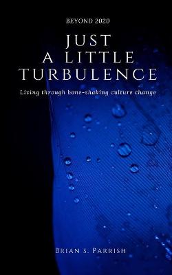 Book cover for Just a Little Turbulence