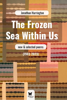 Book cover for The Frozen Sea Within Us