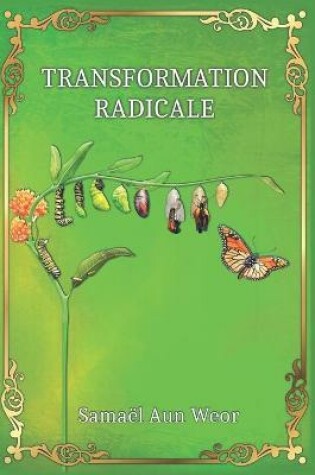 Cover of Transformation Radicale