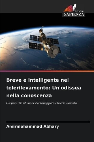 Cover of Breve e intelligente nel telerilevamento