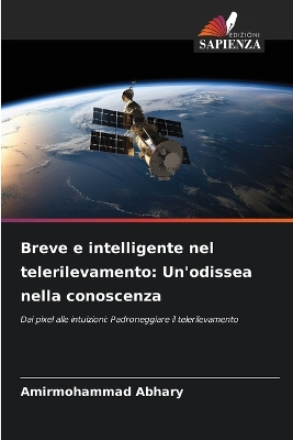 Book cover for Breve e intelligente nel telerilevamento