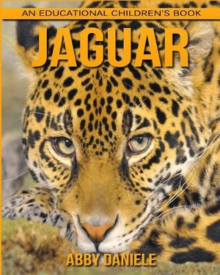 Book cover for Jaguar! An Educational Children's Book about Jaguar with Fun Facts & Photos