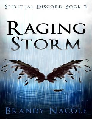 Book cover for Raging Storm: Spiritual Discord, 2
