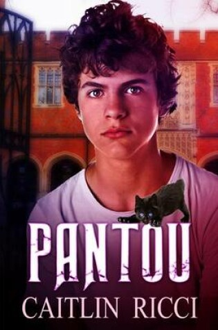 Cover of Pantou