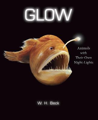 Book cover for Glow