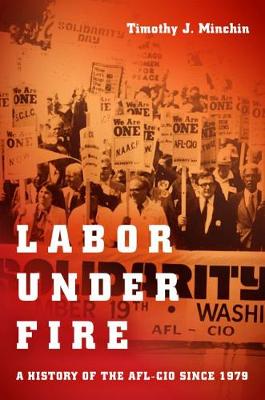 Book cover for Labor Under Fire