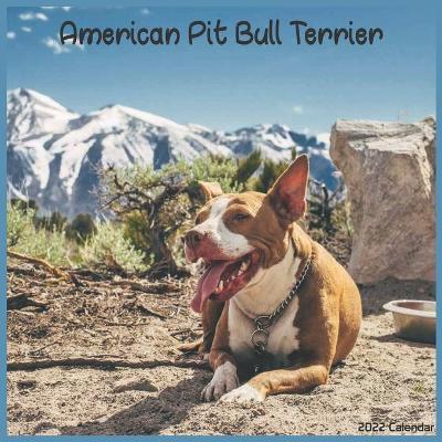 Book cover for American Pit Bull Terrier 2022 Calendar