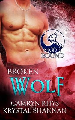 Book cover for Broken Wolf