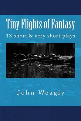 Book cover for Tiny Flights of Fantasy