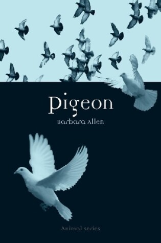 Cover of Pigeon