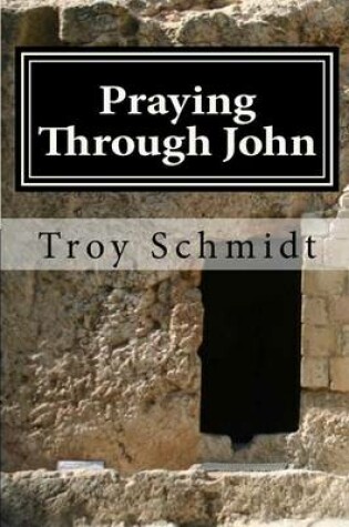 Cover of Praying Through John