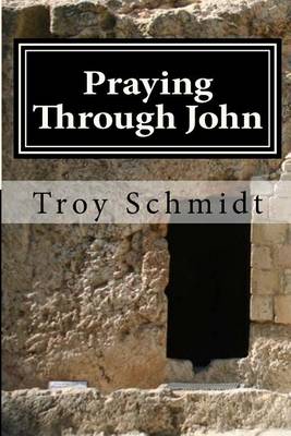 Book cover for Praying Through John