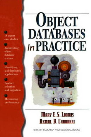 Cover of Object Databases in Practice