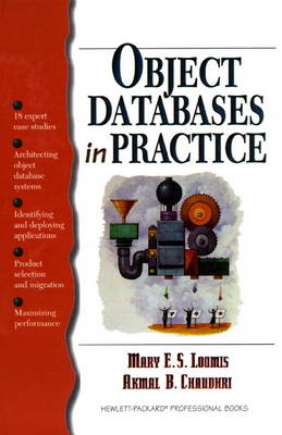 Book cover for Object Databases in Practice