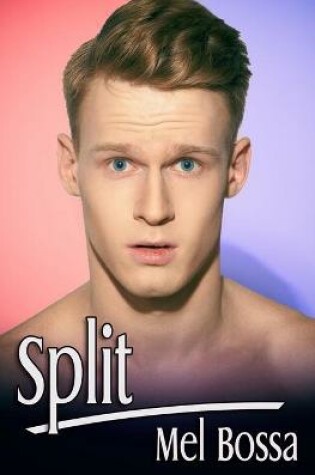 Cover of Split