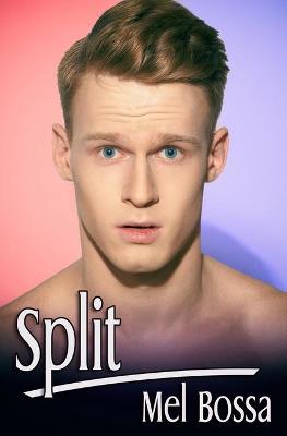 Book cover for Split