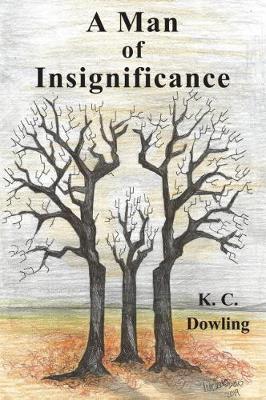 Book cover for A Man of Insignificance