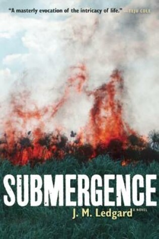 Cover of Submergence