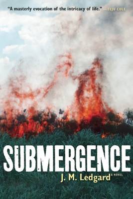 Book cover for Submergence