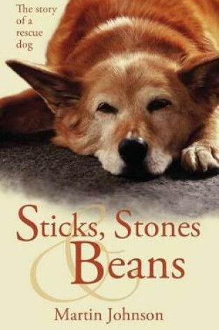 Cover of Sticks, Stones & Beans