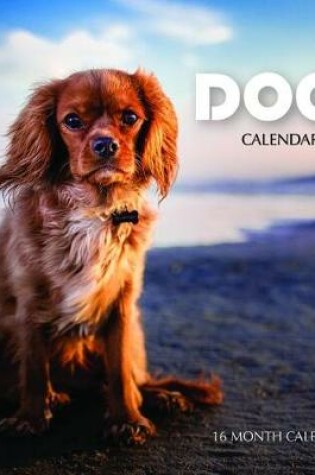 Cover of Dogs Calendar 2019