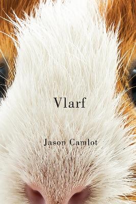 Book cover for Vlarf