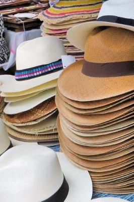 Book cover for Hat Vendor in Ecuador