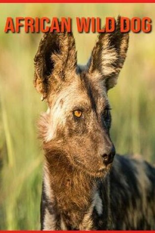 Cover of African wild dog