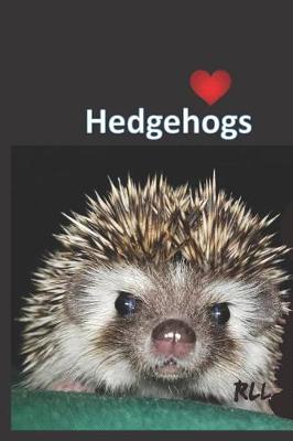 Cover of Hedgehogs