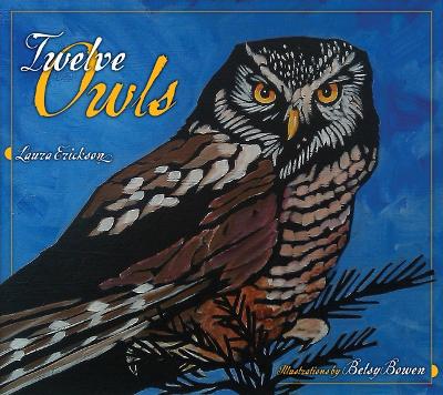 Book cover for Twelve Owls