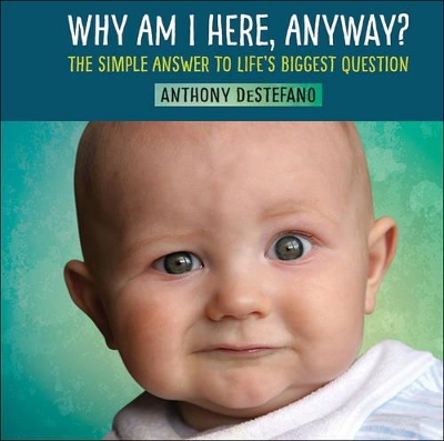 Book cover for Why Am I Here, Anyway?