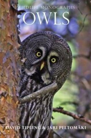 Cover of Owls