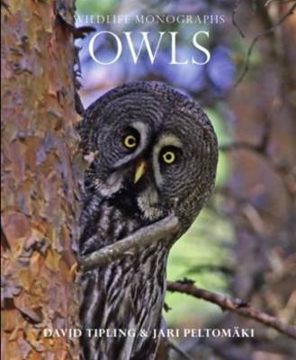 Cover of Owls