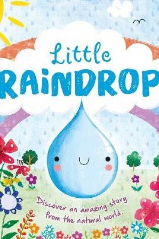 Cover of Nature Stories: Little Raindrop