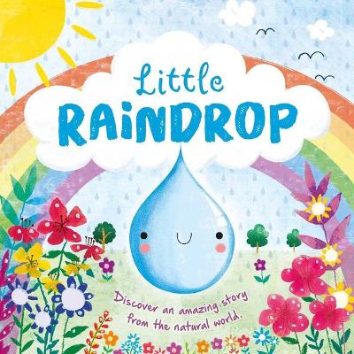 Book cover for Nature Stories: Little Raindrop