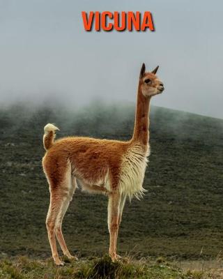 Book cover for Vicuna