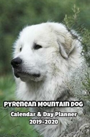 Cover of Pyrenean Mountain Dog Calendar & Day Planner 2019-2020