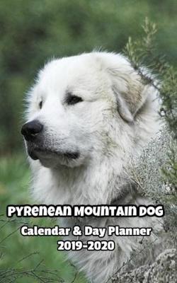 Book cover for Pyrenean Mountain Dog Calendar & Day Planner 2019-2020