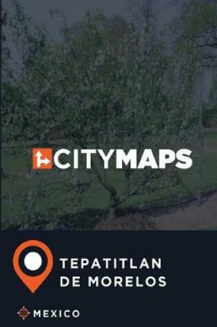 Cover of City Maps Tepatitlan de Morelos Mexico