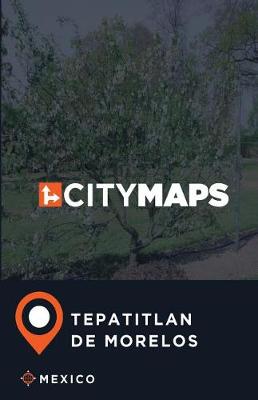 Book cover for City Maps Tepatitlan de Morelos Mexico