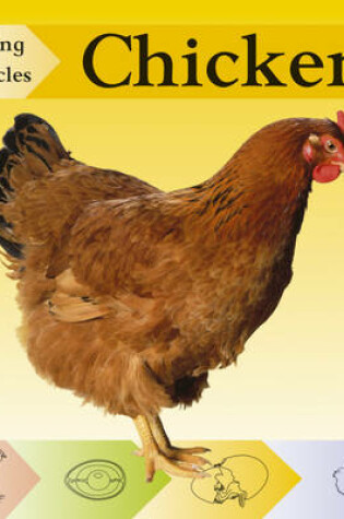 Cover of Looking at Lifecycles: Chicken