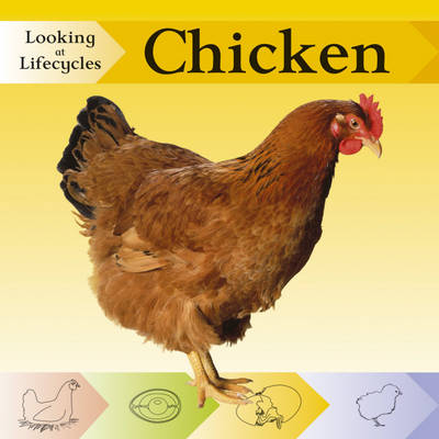 Book cover for Looking at Lifecycles: Chicken