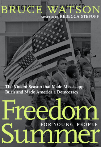 Book cover for Freedom Summer For Young People