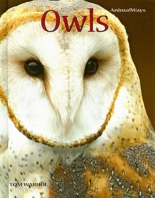 Book cover for Owls