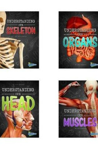 Cover of Brains, Body, Bones!