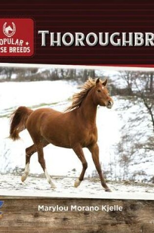 Cover of Thoroughbred